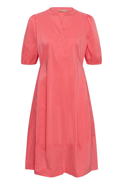 Antoinett SS Placket Dress