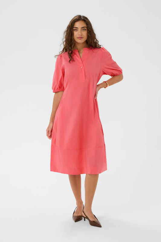 Antoinett SS Placket Dress